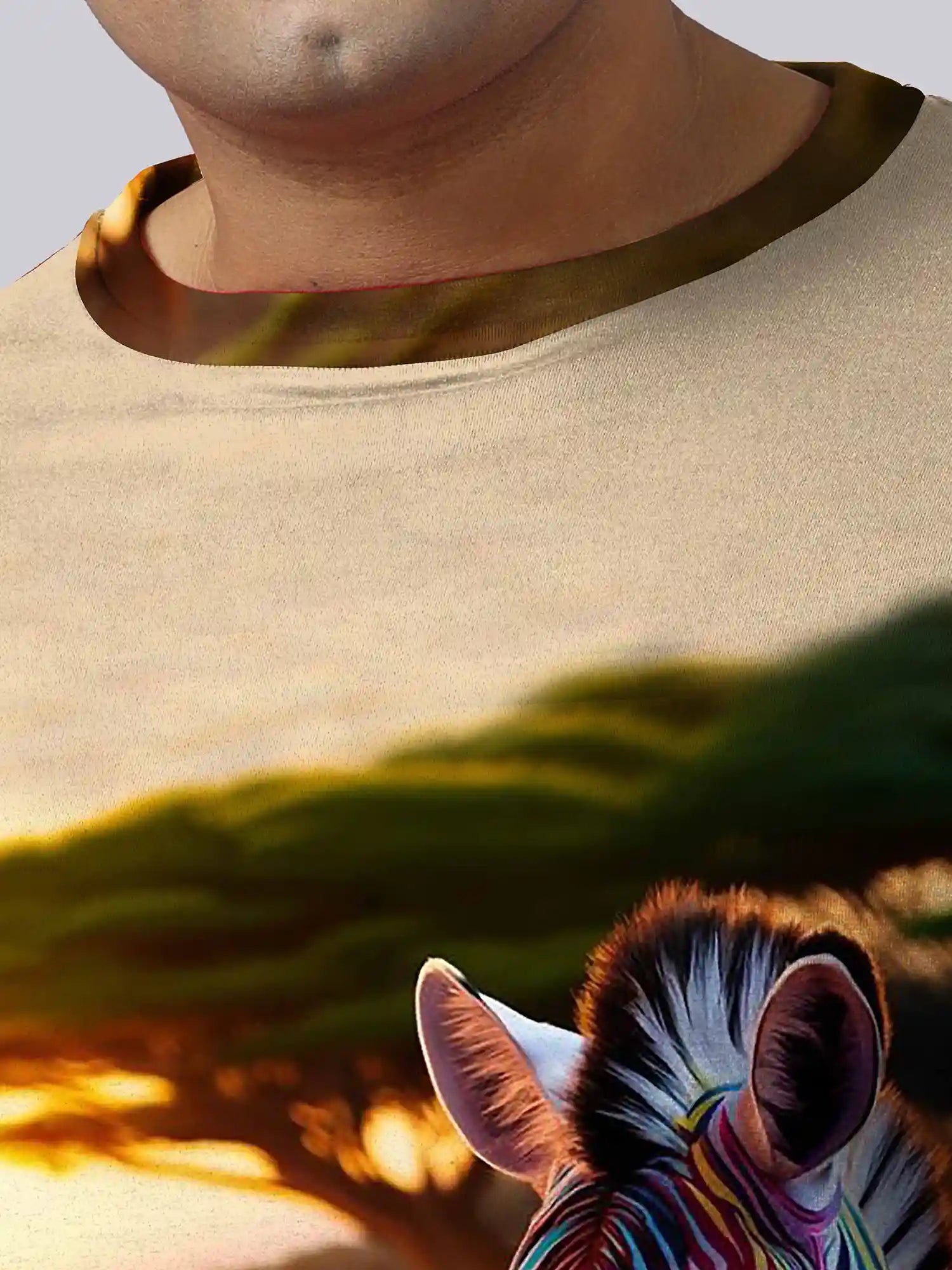 Colorful Zebra Digital Printed Plus Size T-shirt